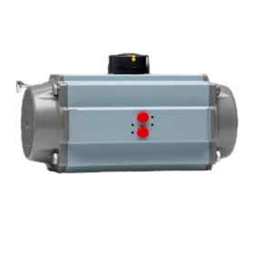 PT100-S23-L
