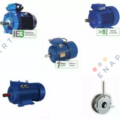 Motor with special winding Motor