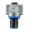 NR-450-03-NPT-PG10-L1