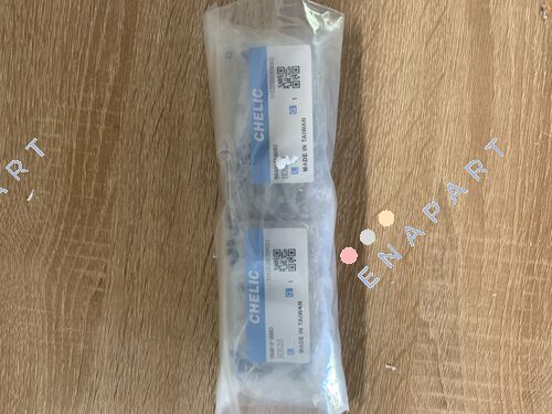 CHHDS20 HAND EINES GEBEULTEN GRIFFS