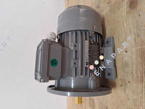 0,55A4E-T-IE2 Motor