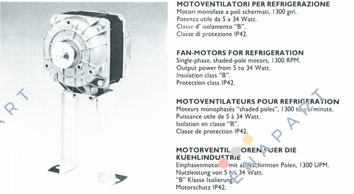 82-4025 Motor