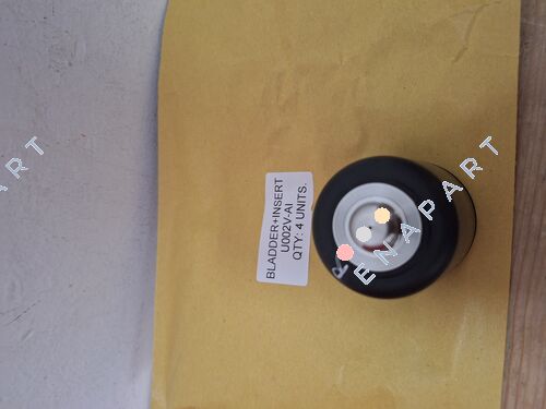 U002V-AI BLASE + KNOPF