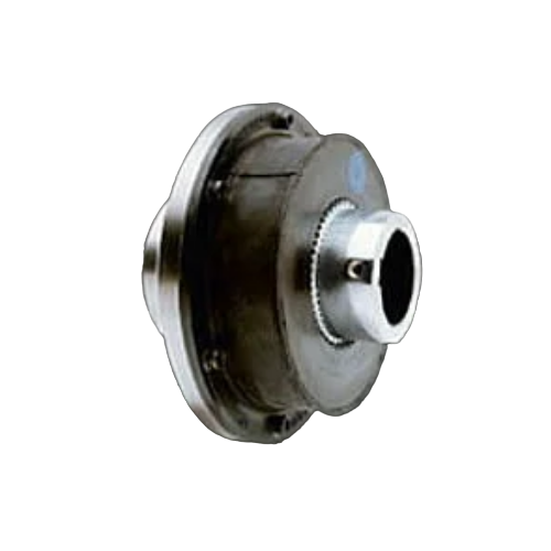 BoWex-ELASTICG80HE-ZST40670U