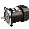 Reversible Motors