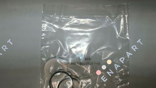 Gasket set for BKH DN25 1113 