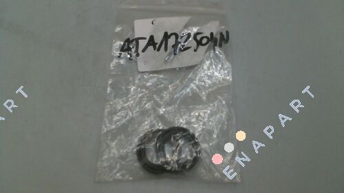 ATA172504N / pos23 Wellendichtring