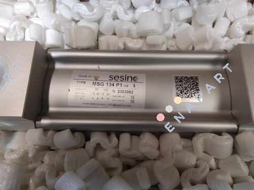 MSG 134 P1 / 2SCG134P1 BETRÜGEN. WASSER-ÖL-HITZE