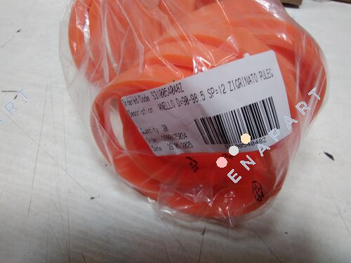 S310054048Z Ring