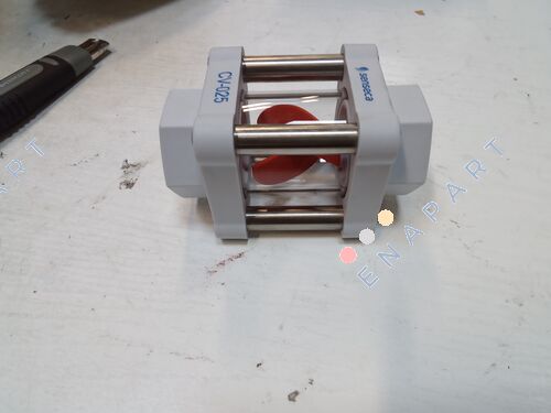 CV-025G.PSO.R Visuelle Durchflussanzeige